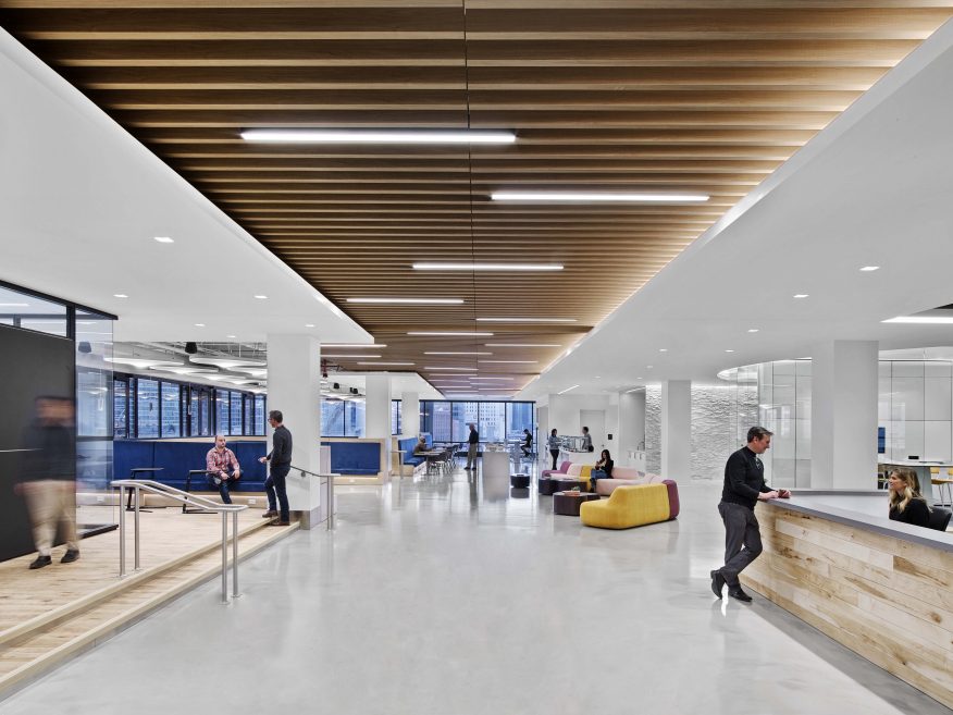 USG Ensemble Ceiling